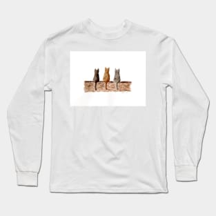 Three cats on the wall Long Sleeve T-Shirt